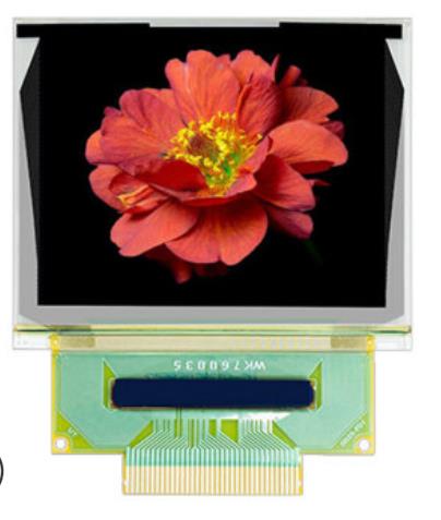 1.69 inch RGB color oled display arduino Raspberry Pi 6028GDEBF02